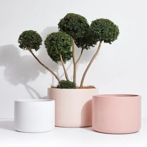 Rosetta Planter Pot