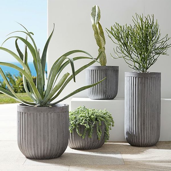 Camelius Planter Pot
