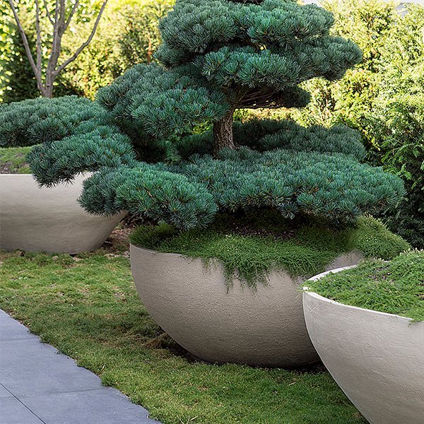 Planters Pots